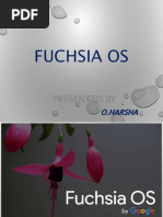 Fuchsia 4 PDF