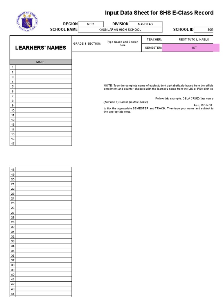 SHS E-Class Record Input Sheet | PDF | Behavior Modification | Change