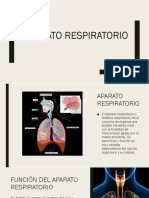 Apparato Respiratorio