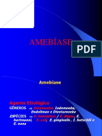 Aula 4 - Amebiase