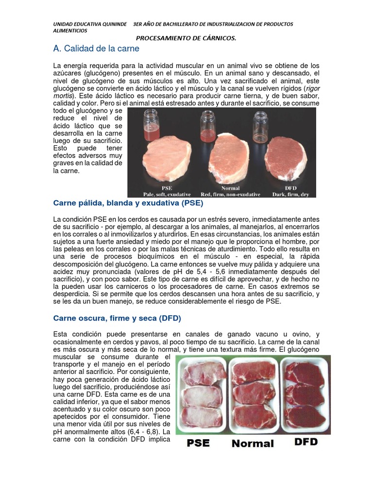Calidad de carne: PSE y DFD | PDF | Carne | Ácido láctico