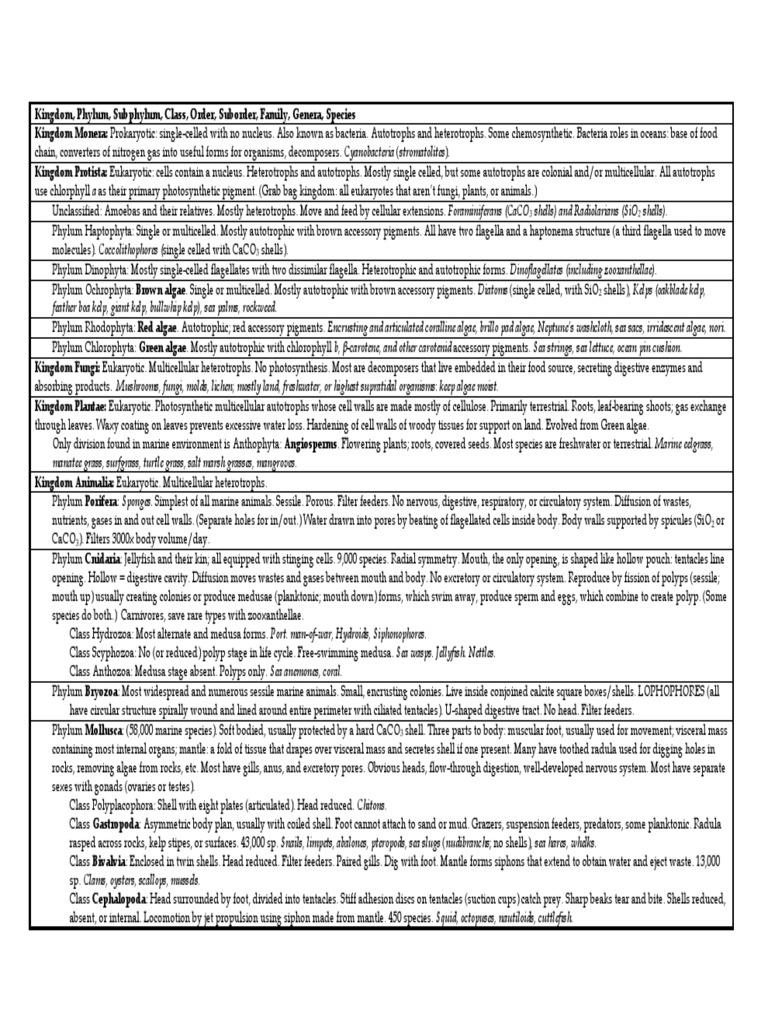 Marine Life Classification Overview | PDF | Mollusca | Cetacea