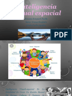 Presentacion Final de Inteligencia Visual Espacial Diapositiva