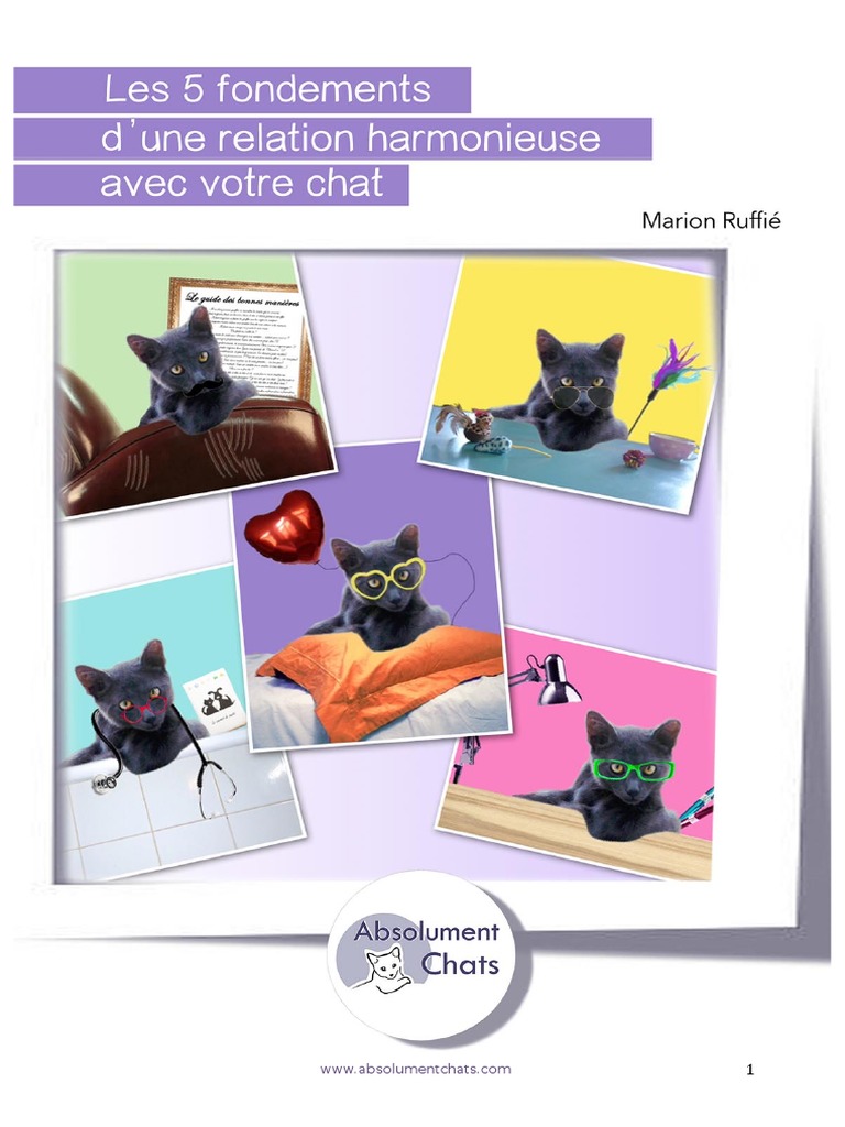 Les 5 Fondements Dune Relation Harmonieuse Avec Votre Chat Chats Tatouage