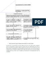 Procedimiento Juicio Oral de División de La Cosa Común