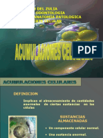 Acumulos Intracelulares2014