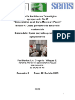 279886160-Informe-Proyecto-Pollos-de-Engorda.pdf