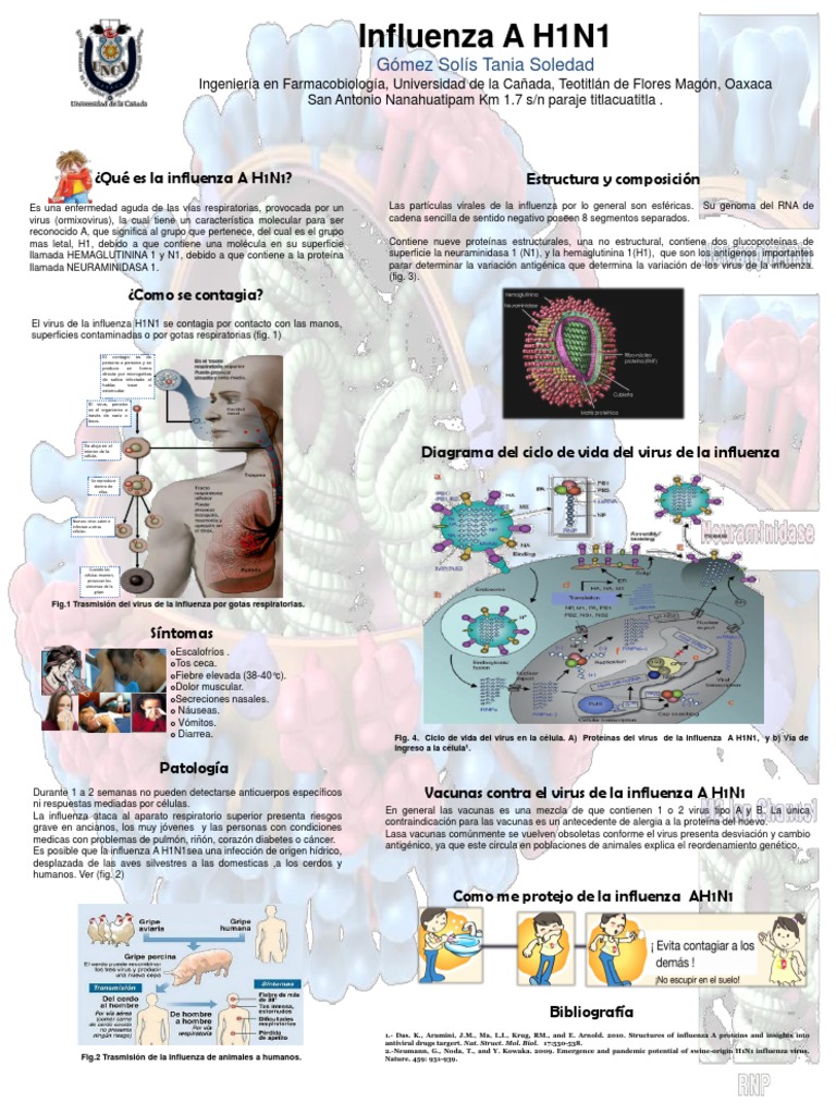 Influenza AH1N1 | PDF | Influenza | Virus de la Influenza A Subtipo H1 N1