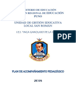 Plan de Acompanamiento Pedagogico Igv 2018