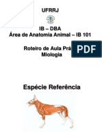 Roteiro de Aula Pratica Musc.cab.PESC. BIOL