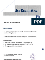 CineticaEnzimatica-EnriqueRivera_32548.pdf