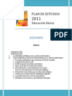 Resumen Plan 2011