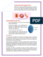 Concepto Del Virus Del Papiloma Humana