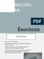 Presentacion_exocitosis (1)