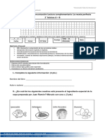 14, mayo PRUEBA LECTURA COMPLEMENTARIA  La recete perfecta  2° básico