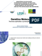 Genetica Molecular