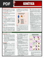 16_ Genética.pdf