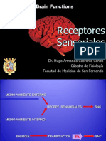 Receptores Sensoriales 2019
