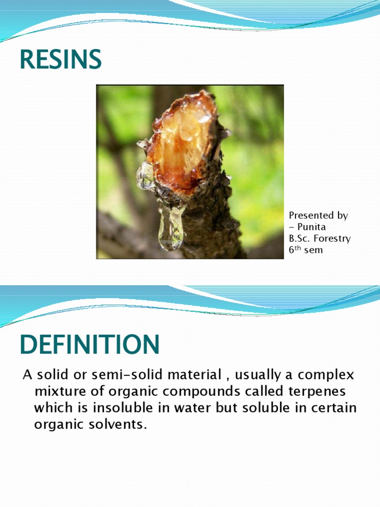 Resins: Presented by - Punita B.Sc. Forestry 6 Sem | PDF
