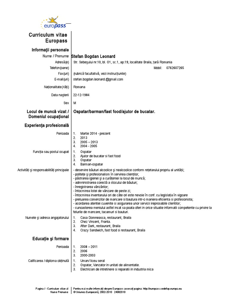 CV Bogdan | PDF