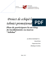 Proiect-tehnici-Promotionale