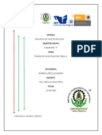 Reporte de Visita