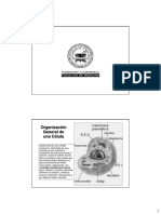 Revision Modulo 2[Version Para Imprimir]