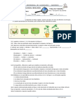 Transporte Nas Plantas PDF