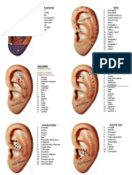 Mapa de Auriculoterapia