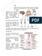 Las glándulas pueden ser.docx