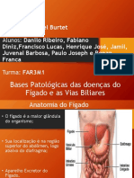 Bases patológicas das doenças do fígado e vias biliares