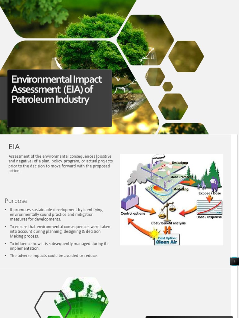 Environmental Impact Assessment (EIA) of Petroleum PDF Oil Spill