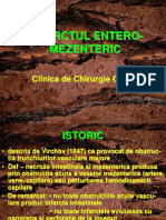 Alb 12. Curs Arteriopatii Cronice - PPT