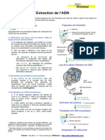 Extraction d'ADN