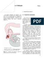 TranspgamFertiz PDF