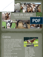 Tipos de Cabras