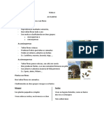 TEMA 6.docx