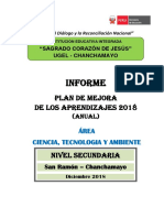 Informe Plan de Mejora 2018 Anuallll