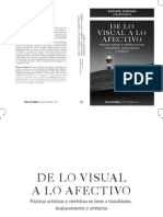De Lo Visual A Lo Afectivo. Practicas Ar PDF