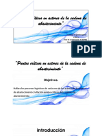 "Puntos Críticos en Actores de La Cadena de Abastecimiento