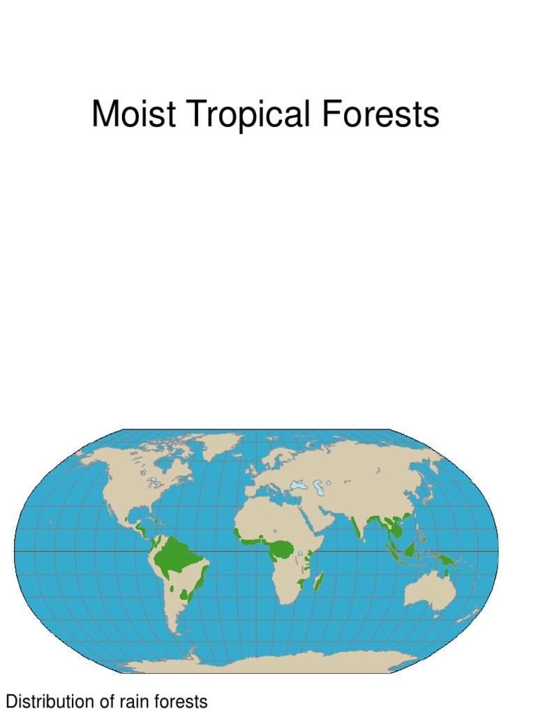 Tropical Forests Pdf Deforestation Forests