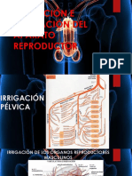 Irrigación e Inervación