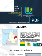 Vichada Expo