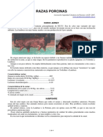 2-razas_porcinas.pdf