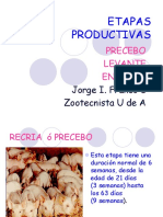 ETAPAS-PRODUCTIVAS-2.pdf