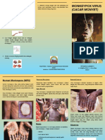 Monkeypox Leaflet