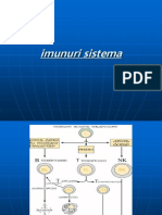 Imunuri Sistema