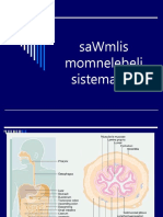 SaWmlis Momnelebeli Sistema - 1