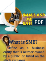 SME Categories by Capitalization and Employment Size
