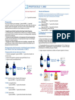 Protocolo 1000 Informativo PDF